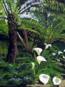 Cala Lillies & Tree Ferns