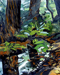 Golden Gate Redwoods