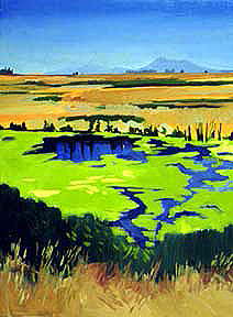 Mt Tam From Hudeman Slough