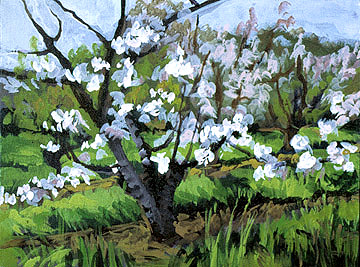 Orchard Bloom