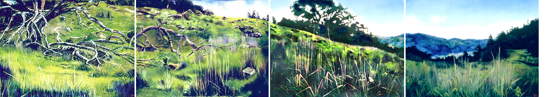 Pepperwood Preserve