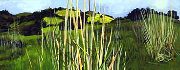 Pepperwood Grasses