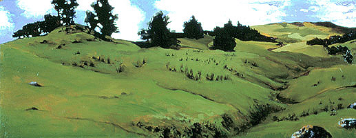  Pepperwood Hills, Spring