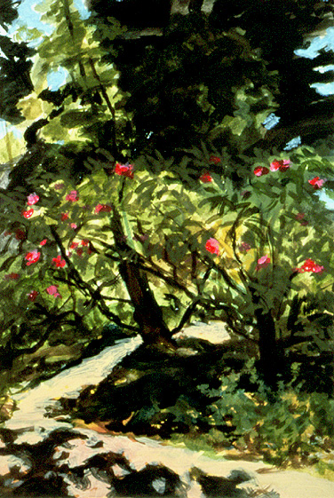 Rhododendron Dell